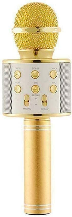 ZWYUAN Wireless Bluetooth Karaoke Microphone with Speaker - Portable Handheld Mic for Kids, Home Parties, Singing, Speech & Meetings | Perfect for Family Gatherings, Travel & Entertainment