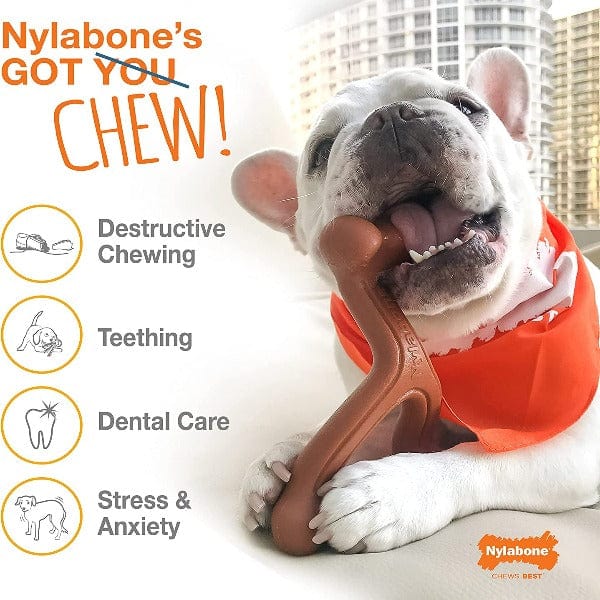 Nylabone DuraChew Bacon Flavored Dog Chew Toy - Long-Lasting Dental Chew for Medium to Large Dogs - Perfect for Aggressive Chewers & Teething Puppies