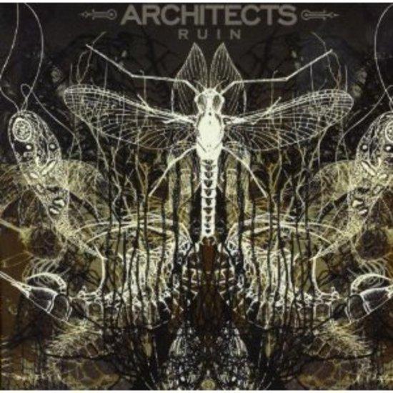 Architects Ruin - Premium Architectural Design Tool for Professionals | Perfect for Urban Planning, 3D Modeling & Creative Projects