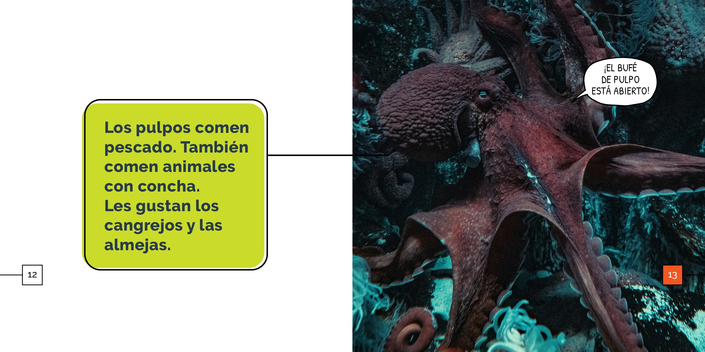Octopus Wonders - Stunning Octopus Decor for Home & Office | Perfect for Marine Lovers, Aquarium Enthusiasts, and Unique Gift Ideas