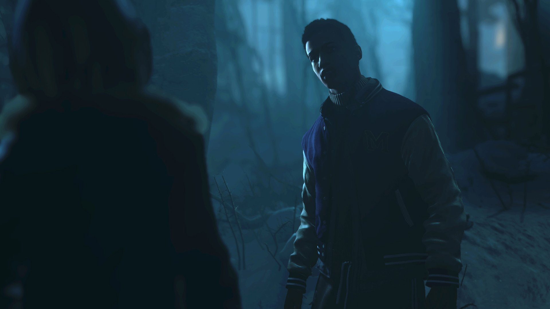 Until Dawn (PS4) - Horror Survival Game for PlayStation 4 | Perfect for Thrill-Seekers & Horror Fans | Play at Night for Ultimate Scare Experience