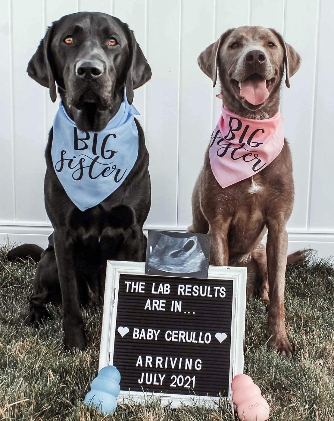 10x10 Rustic Farmhouse Black Felt Letter Board with Wooden Frame - Changeable Message Sign for Baby Announcements, Weddings & Home Decor - Includes 350 Letters & Stand (Perfect for Nursery, Events & Rustic Weddings)
