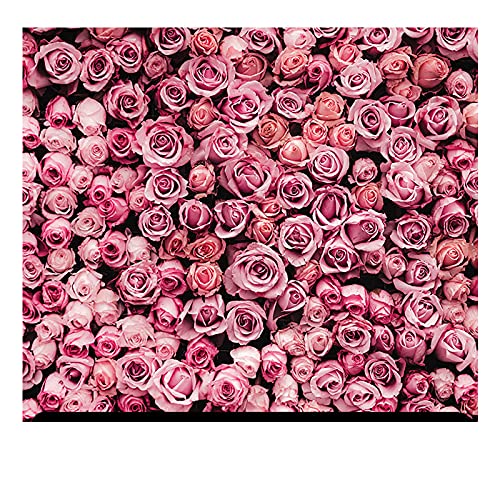 Pink Roses