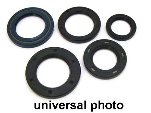 High-Quality Oil Seal Set for Automotive & Industrial Use - Durable Engine & Machinery Seals for Leak Prevention - Perfect for Cars, Trucks, and Heavy Equipment Maintenance
