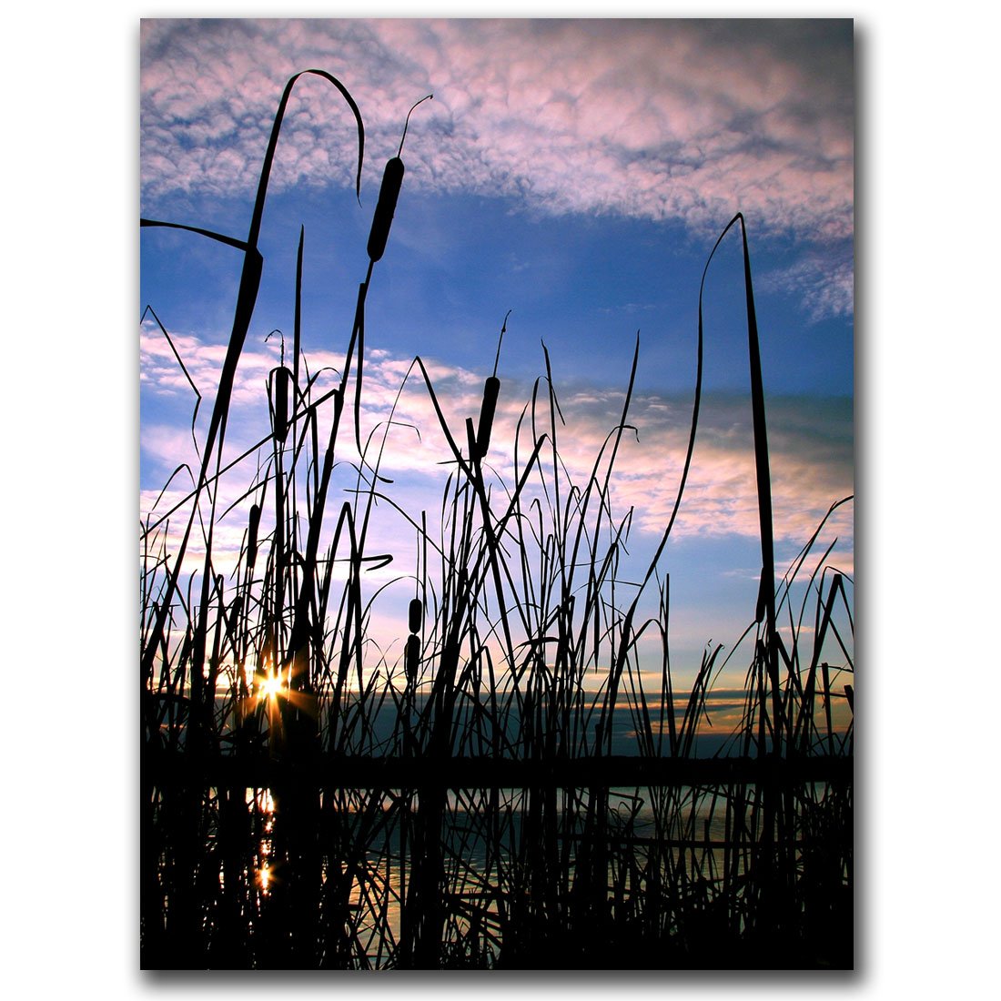 CATeyes The Secret II Canvas Wall Art - 26x32 Inches Trademark Artwork for Home & Office Decor | Perfect for Living Room, Bedroom, or Gift