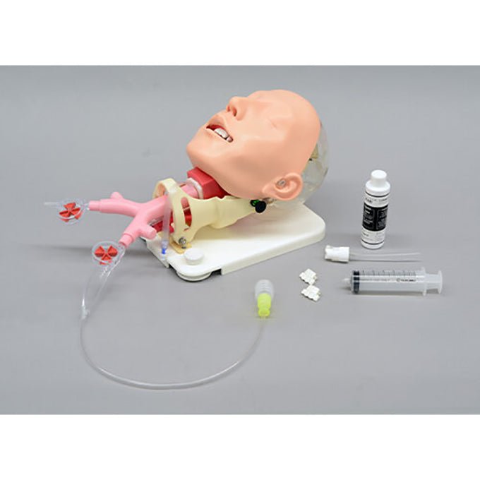 Difficult Airway Management Training Model - High-Fidelity Medical Simulation Manikin for Anesthesia & Emergency Practice - Perfect for Medical Students, Residents, and Healthcare Professionals