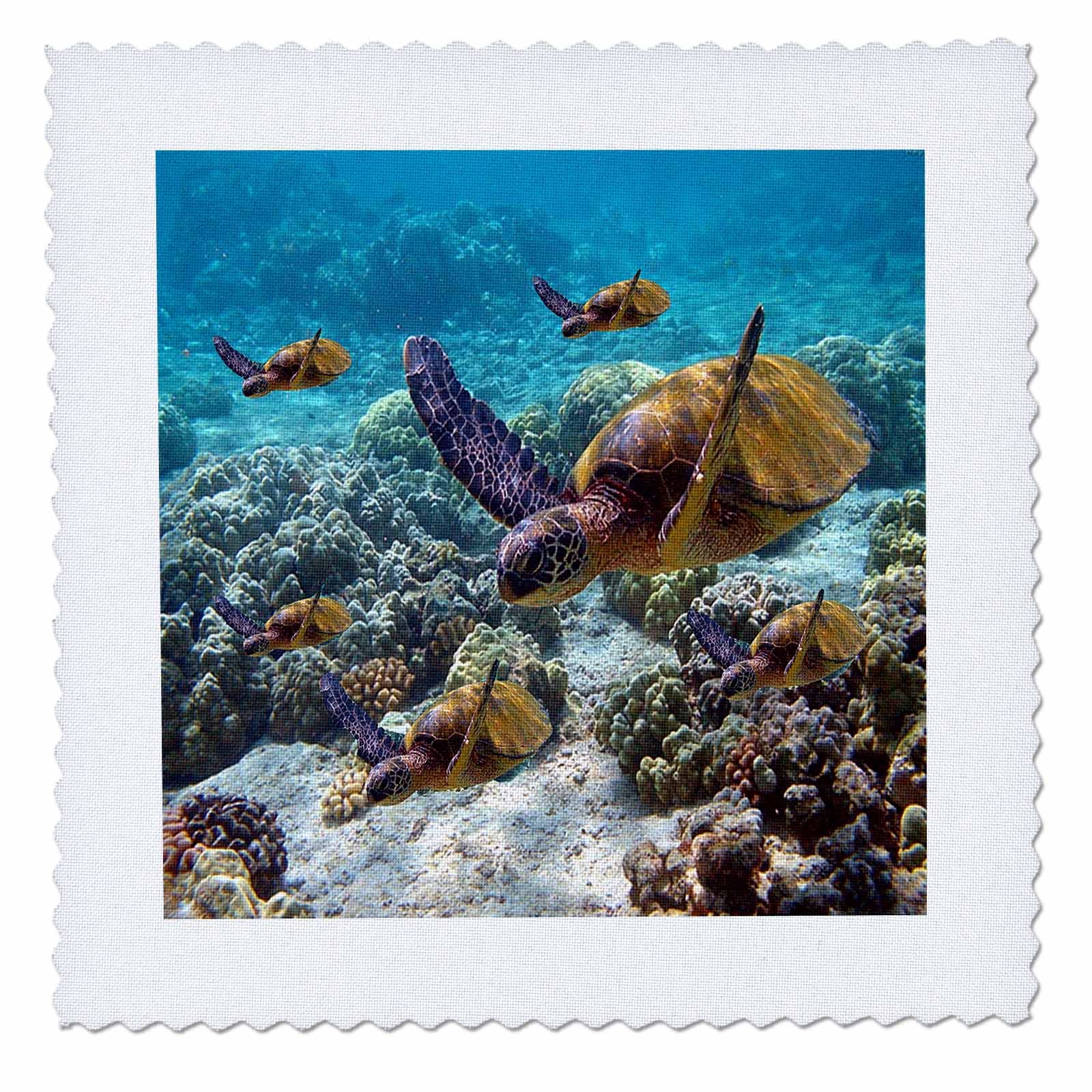 3dRose qs_26850_1 Sea Turtles Quilt Square - 10x10 Inch Fabric Patch for DIY Quilting, Sewing & Home Decor - Perfect for Beach Themed Crafts and Ocean Lover Gifts