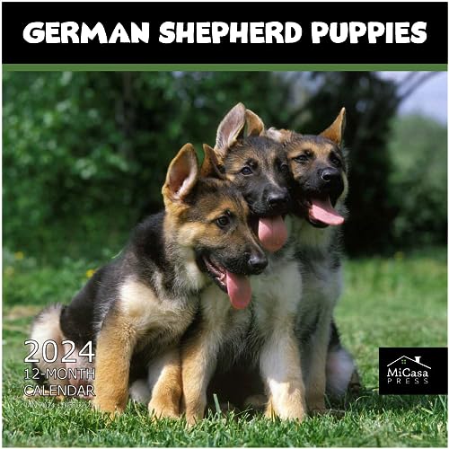 15 - German Shepherd Puppies