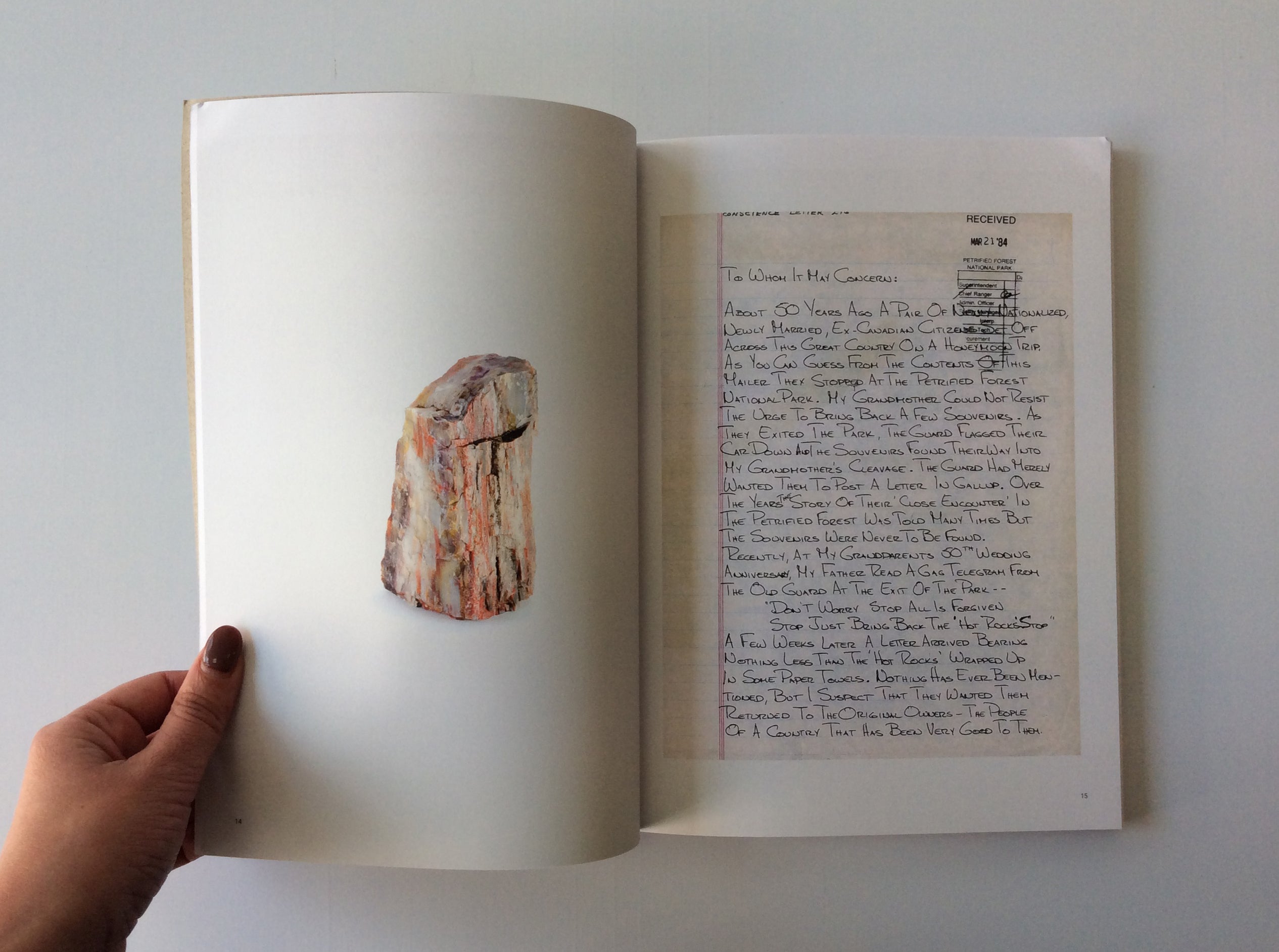 Bad Luck, Hot Rocks: Conscience Letters & Petrified Forest Photos - Perfect for Geology Enthusiasts & National Park Souvenirs