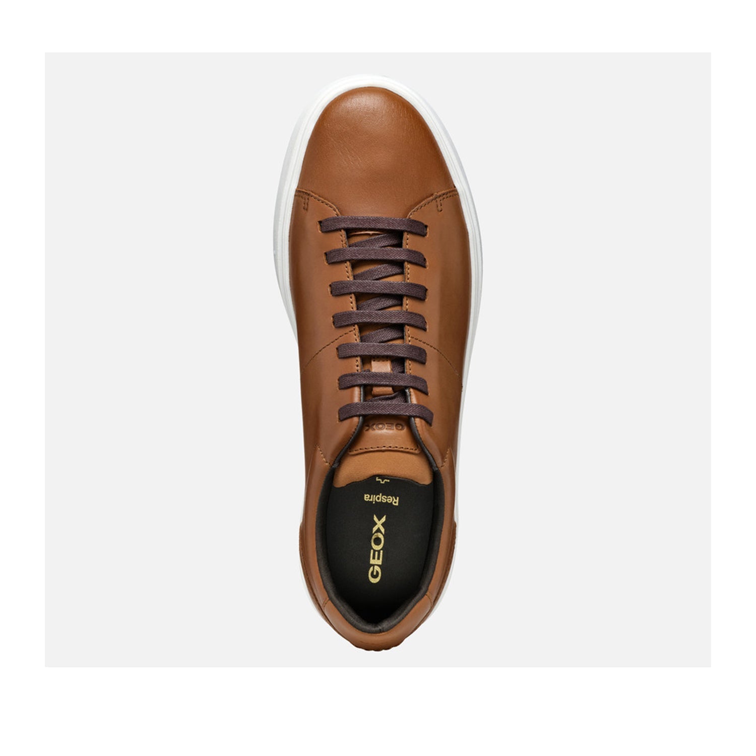 Geox Men's Baltmoore Leather Loafers in Cognac Brown - Comfortable Slip-On Dress Shoes for Business & Casual Wear
