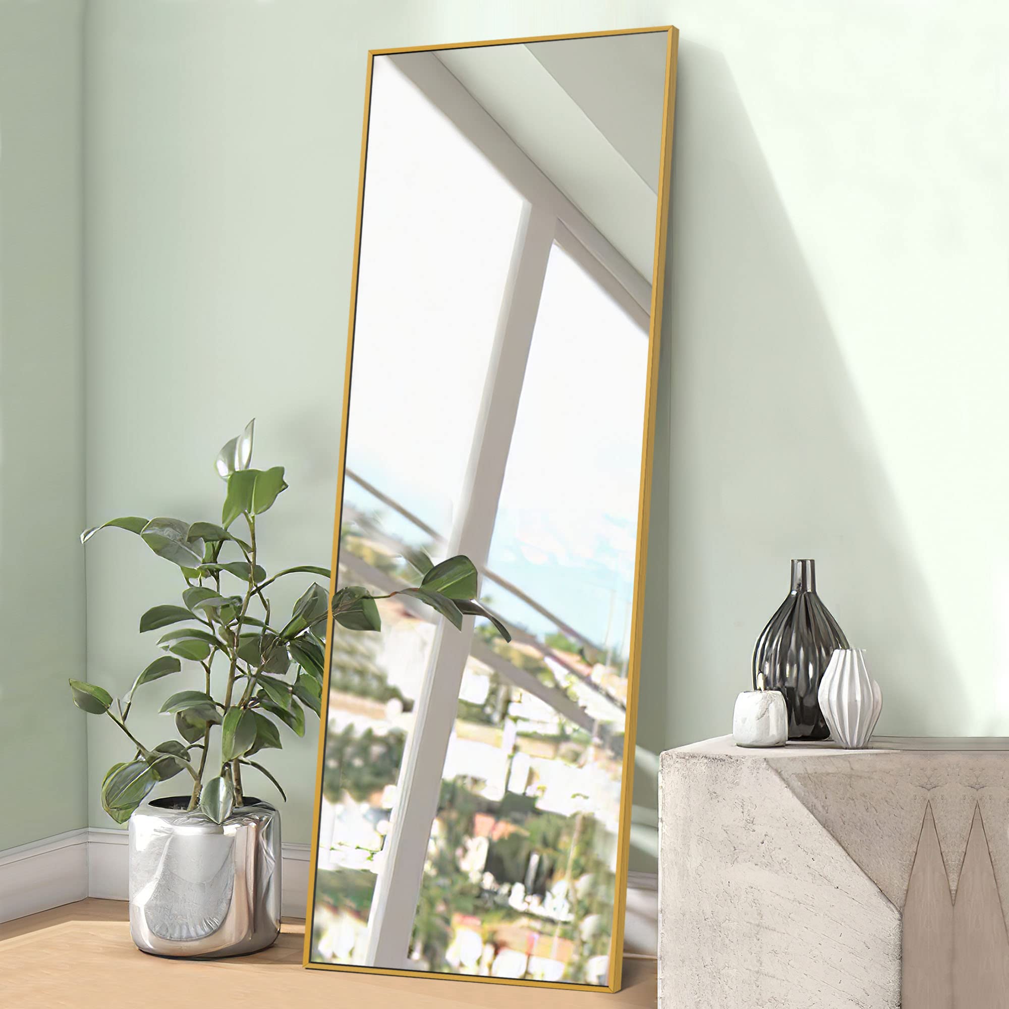 Full Length Mirror 63