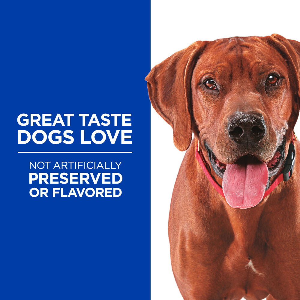 Hill's Science Diet Soft Baked Naturals Dog Treats with Duck & Pumpkin - Natural Ingredients for Training, Rewards & Digestive Health - Perfect for Small, Medium & Large Dogs