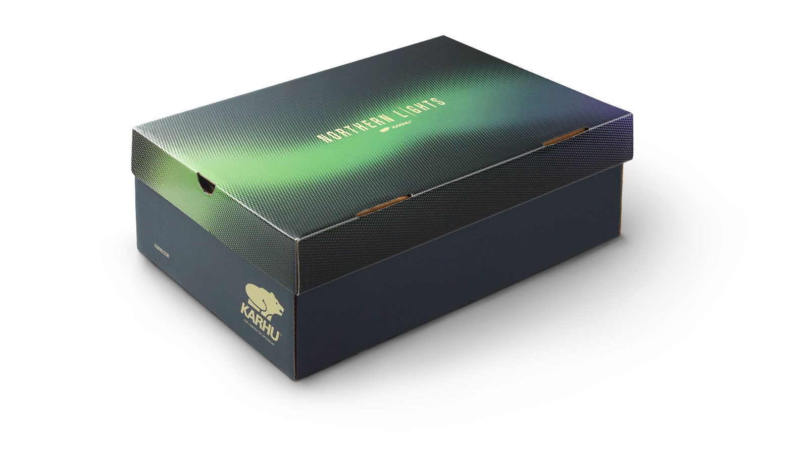 ARIA 95 'NORTHERN LIGHTS' Pack - Premium India Ink & Dark Olive Watercolor Set for Professional Artists | Perfect for Landscape Painting, Calligraphy, and Mixed Media Art Projects