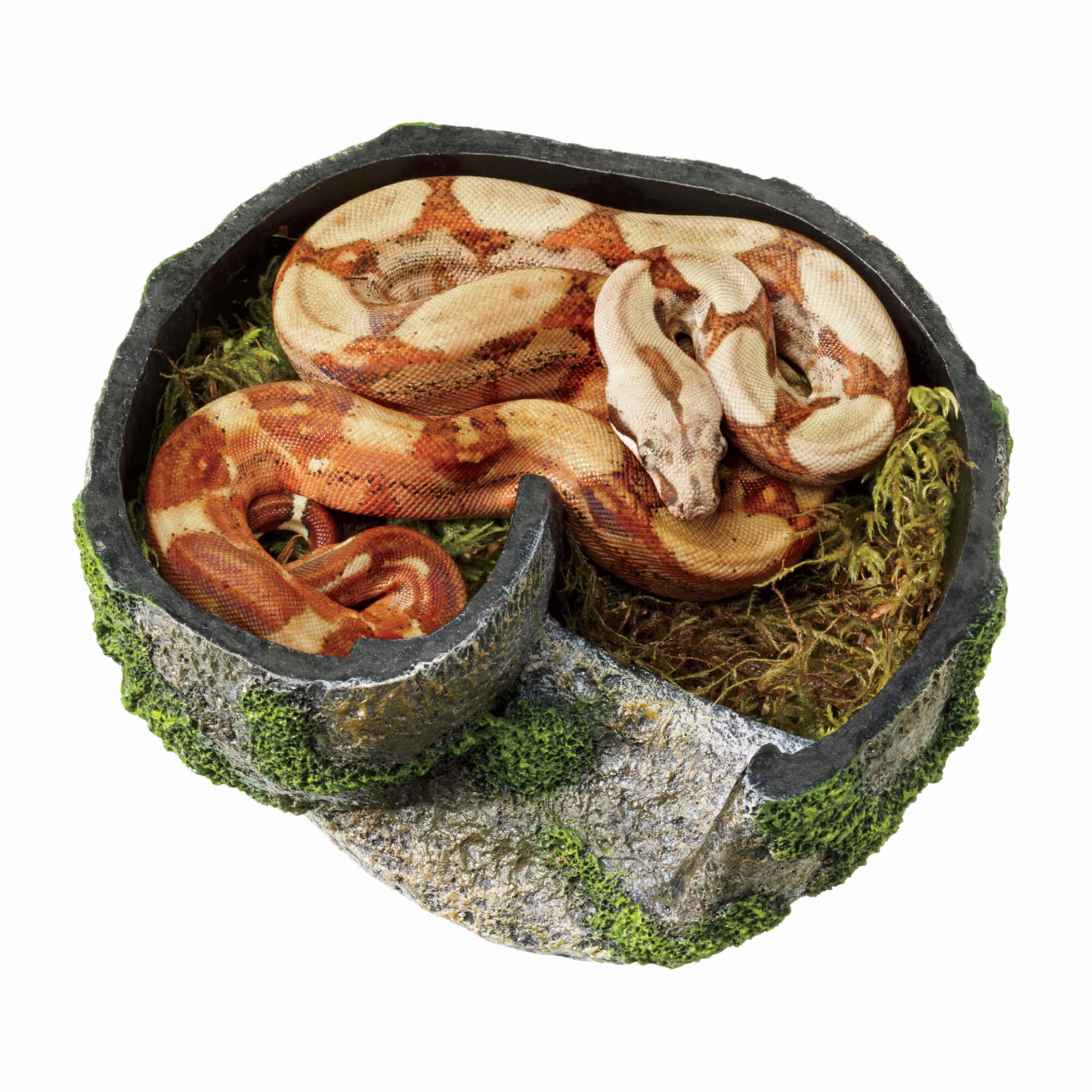 Zilla Pet Terrarium Rock Lair Hideout for Reptiles - Small Size Natural Decor for Lizards, Snakes & Geckos - Perfect for Desert & Tropical Habitat Setups