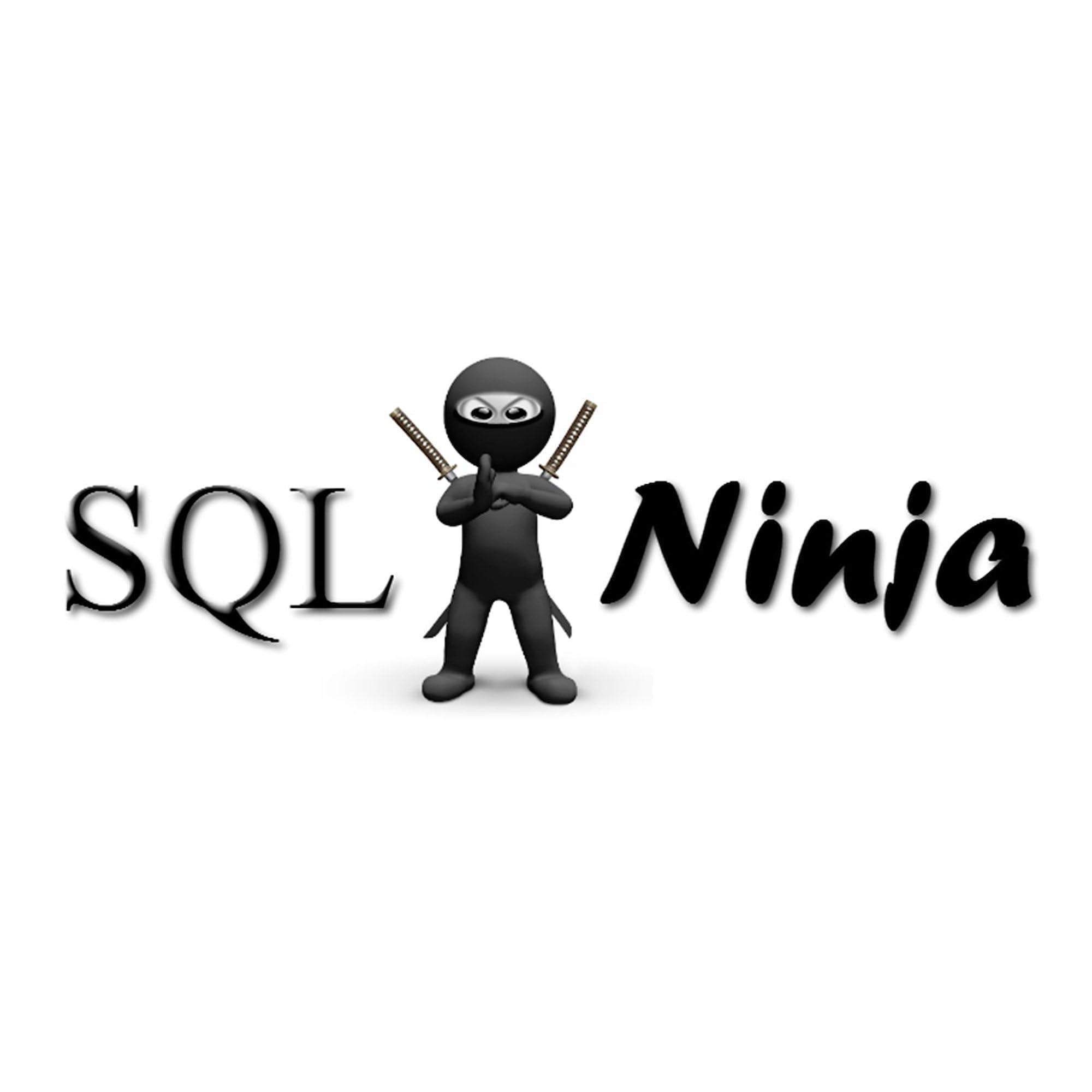 SQL Ninja Oval Car Bumper Sticker - Waterproof Vinyl Decal for Laptop, Notebook, Car Window - Perfect for Programmers, Developers & Tech Enthusiasts