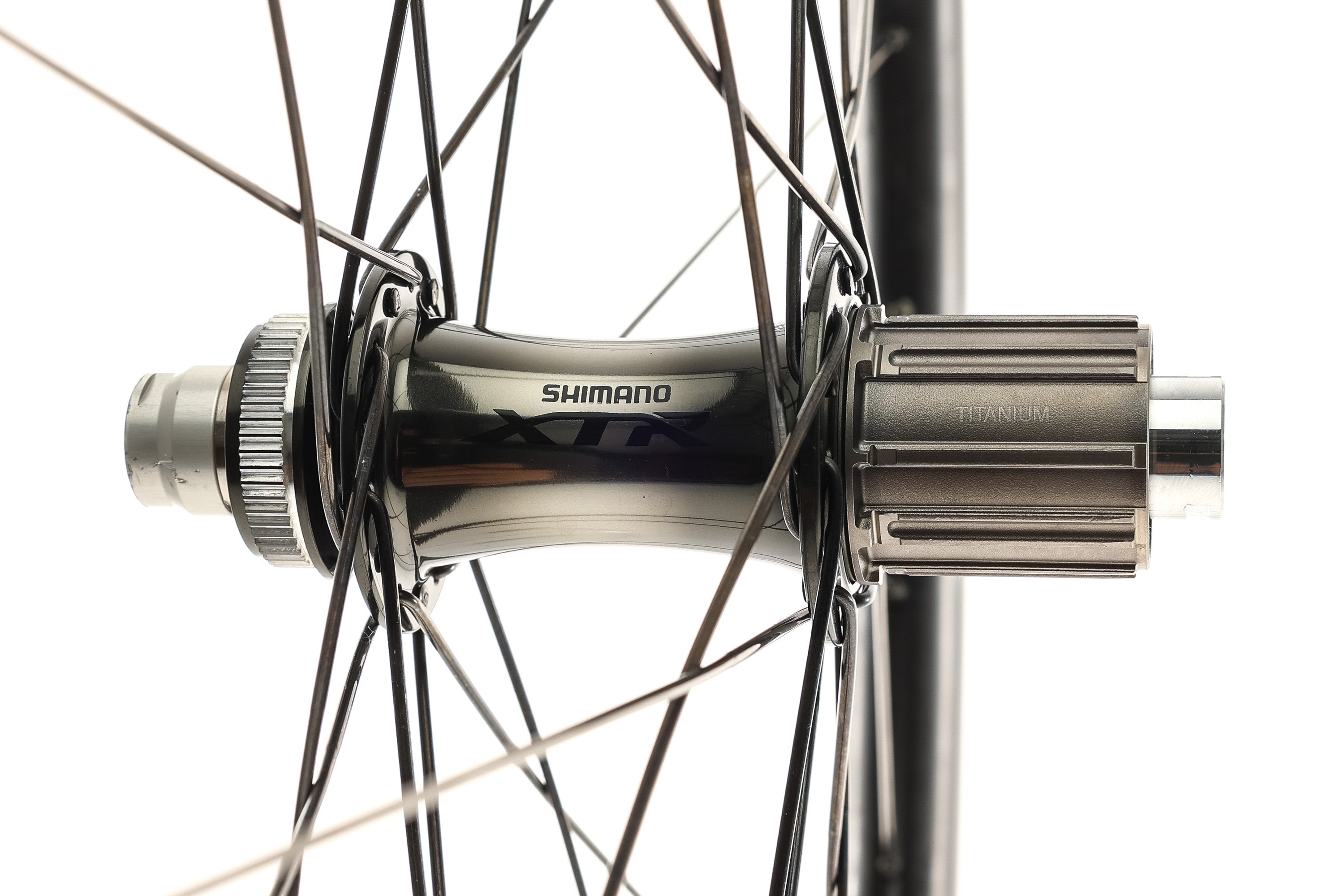 Astral Hollywood XTR Hubs Carbon Tubeless 29