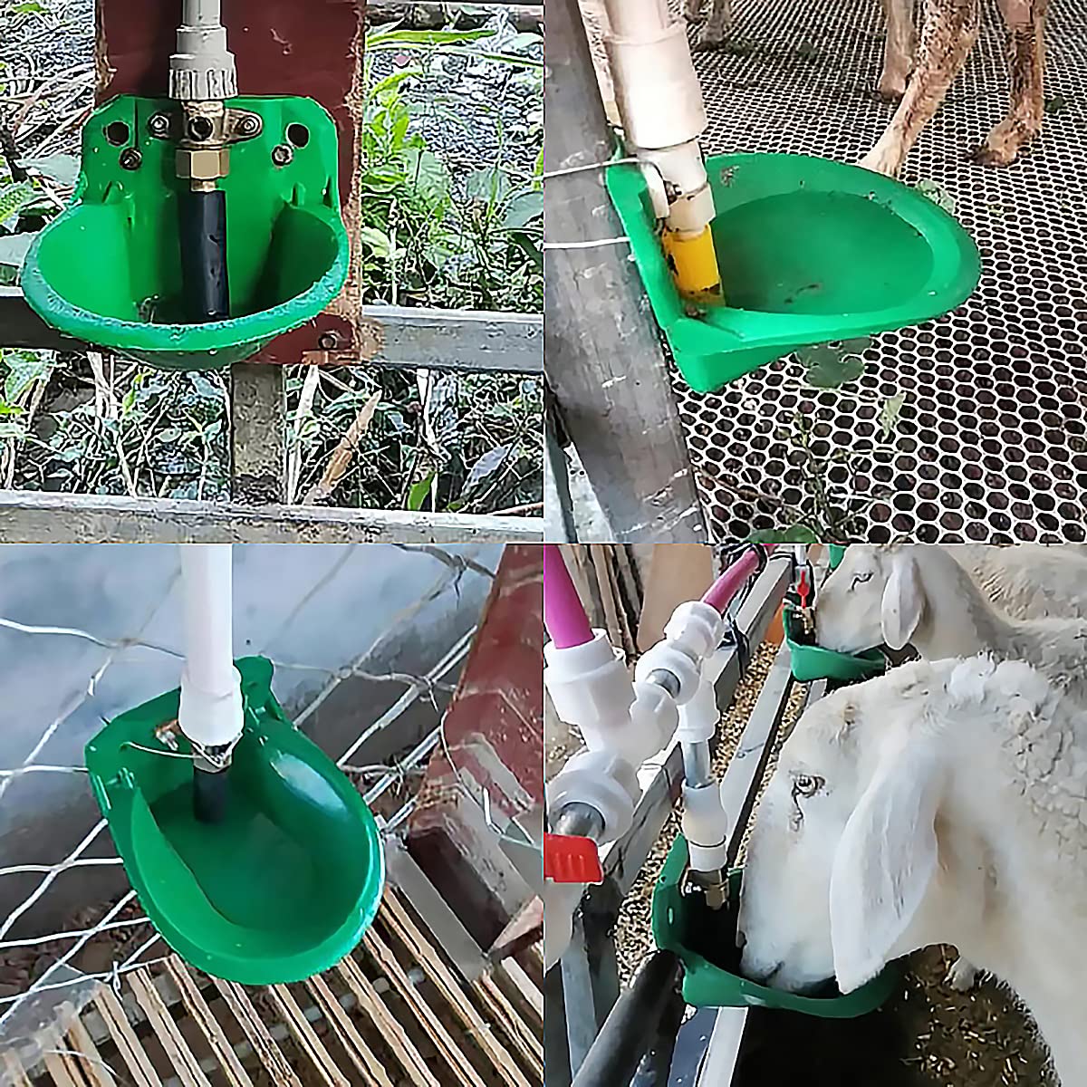 Automatic Sheep Waterer Bowl for Goats & Livestock - Durable Plastic Drinking Trough with Auto-Fill - Perfect for Farm, Ranch, and Pasture Use