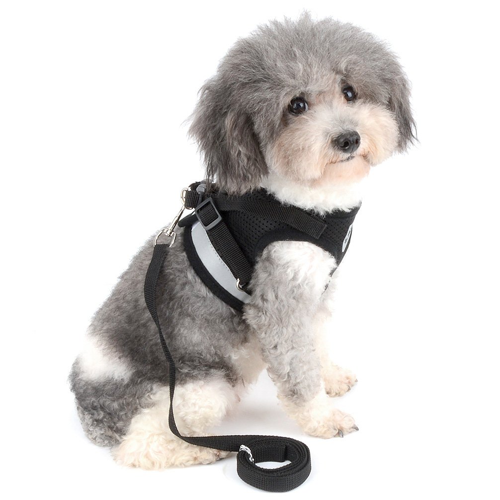 Ranphy Reflective No-Pull Dog Harness Vest with Leash Set - Soft Mesh Step-in Jacket for Small Dogs & Cats (Yorkie, Chihuahua, Puppy, Kitten) - Black | Perfect for Night Walks, Training & Outdoor Safety