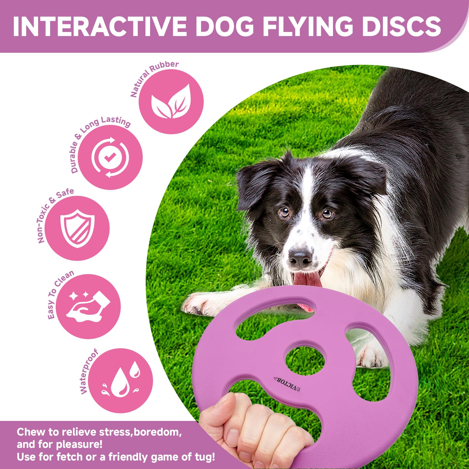 Natural Rubber Dog Toy for Fetch & Outdoor Play - 8.6 Inch Violet Flying Disc, Durable Interactive Chew Toy for Medium & Large Dogs - Perfect for Beach, Park & Backyard Games