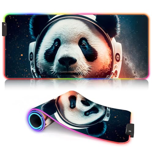 a14-Beautiful panda to space