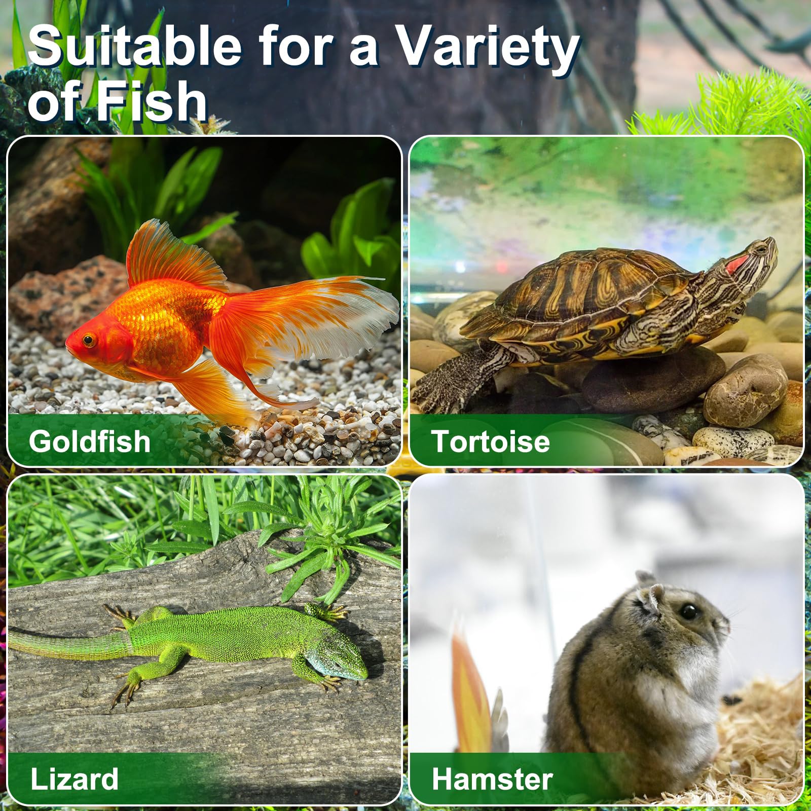 4pcs Mini Portable Fish Tank - Snail Terrarium, Crabs Habitat, Small Turtle Tank - Plastic Transport Box for Goldfish, Turtles, Beach Toys - Perfect for Home, Office, Classroom Aquarium Setup