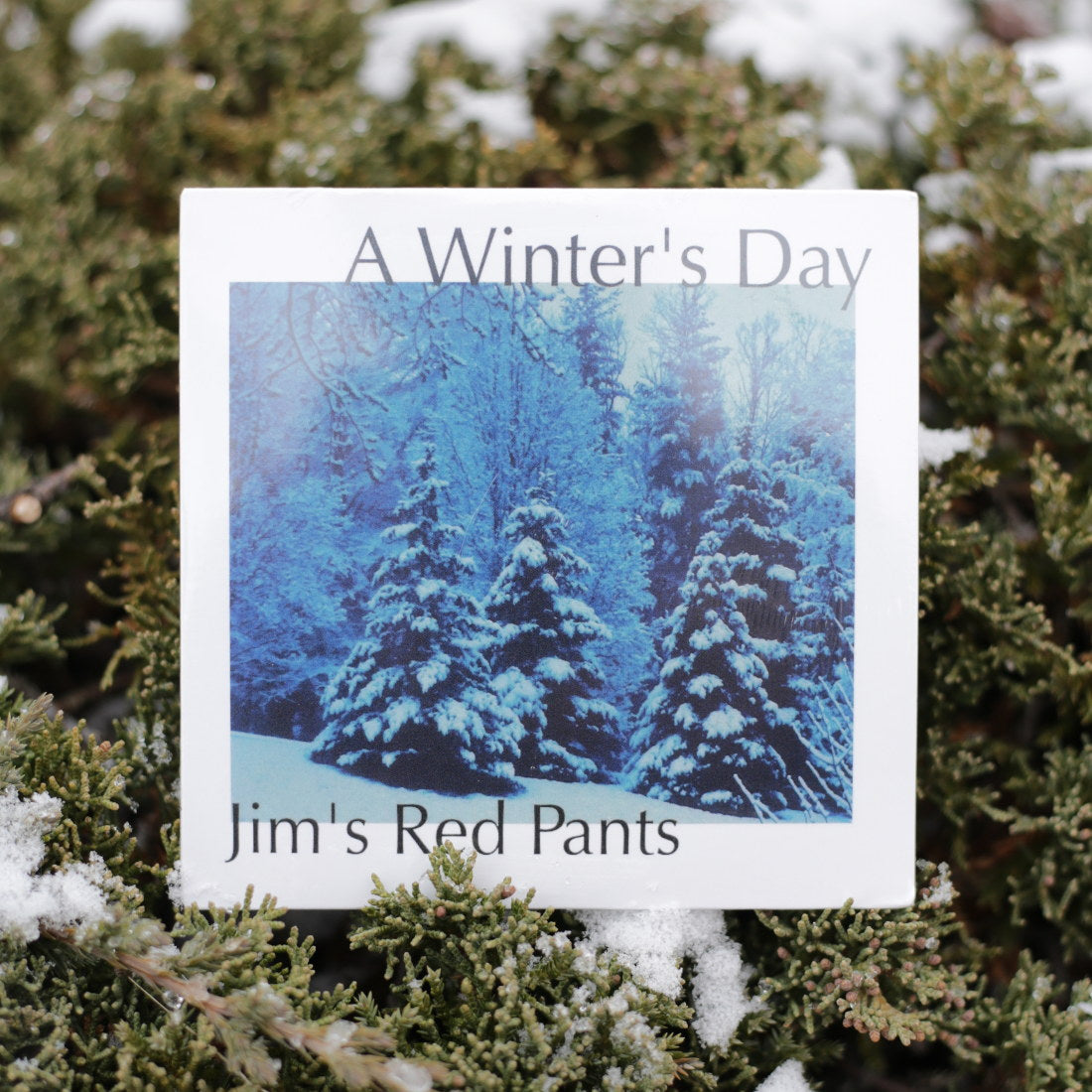 A Winter's Day Music CD - Relaxing Seasonal Instrumentals for Holiday Gatherings, Cozy Evenings & Winter Mood Setting
