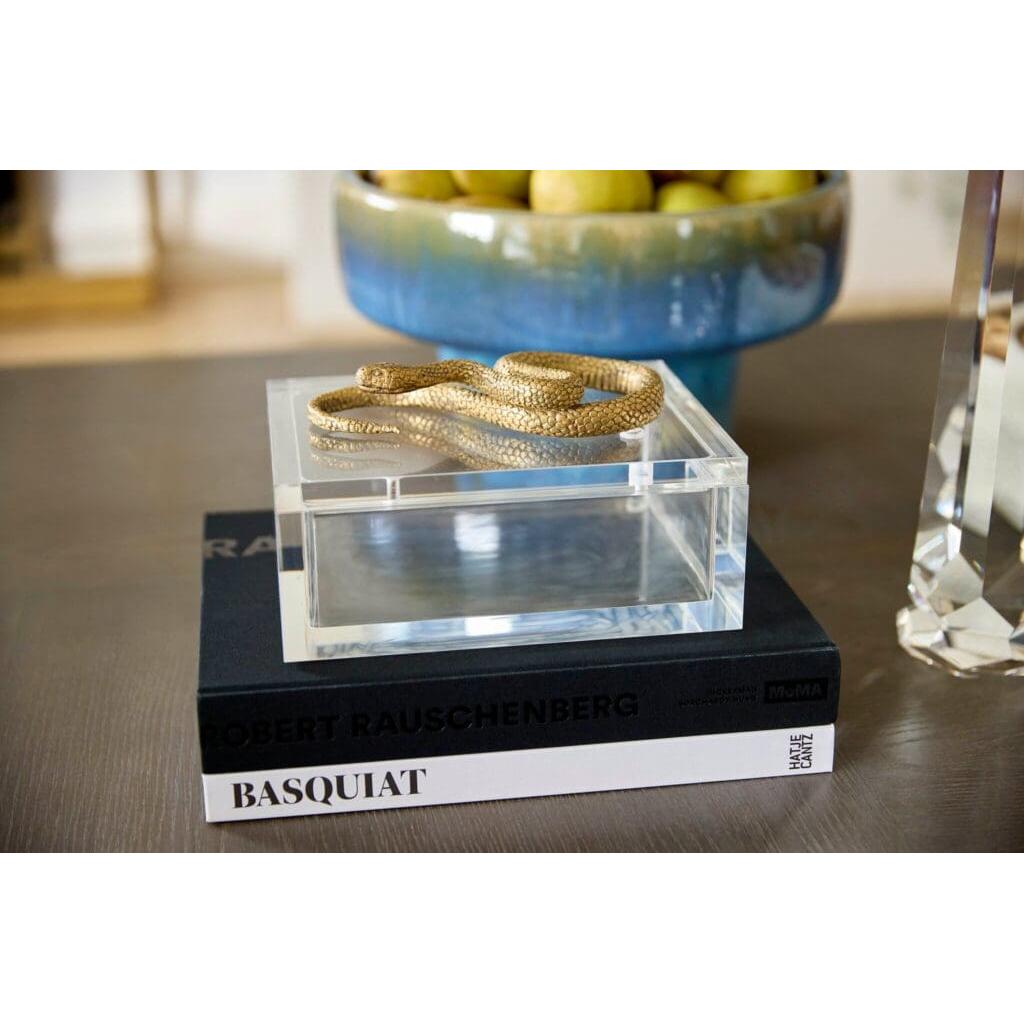 Cyan Design 11763 Snake Box - Clear Glass & Brass Jewelry Storage for Necklaces, Rings & Earrings - Perfect for Vanity, Dresser & Bathroom Organizer