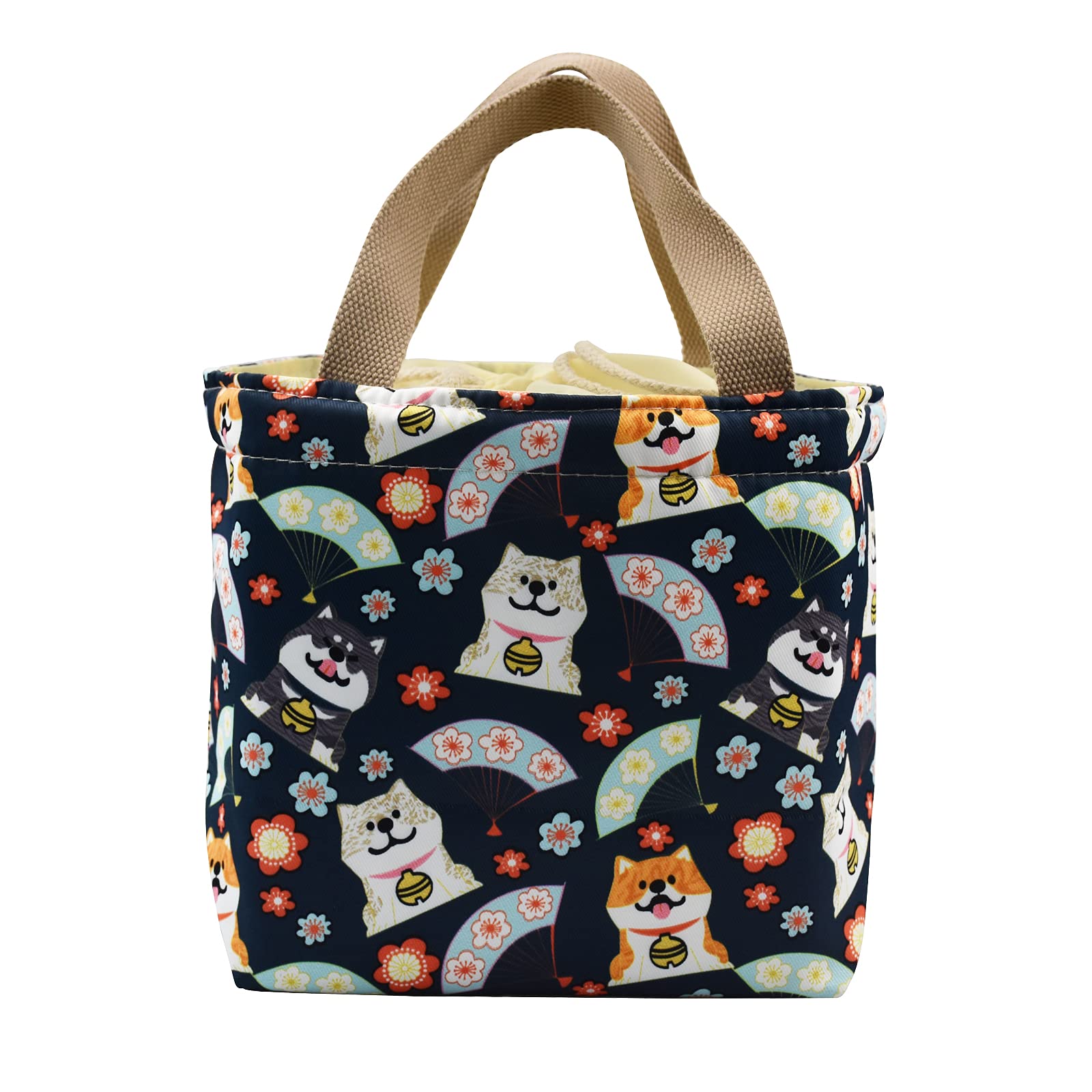 Enyuwlcm Insulated Lunch Tote Bag - Cute Reusable Small Lunch Box with Drawstring Handle for Women & Girls - Perfect for School, Work, Picnics & Pet Food Storage