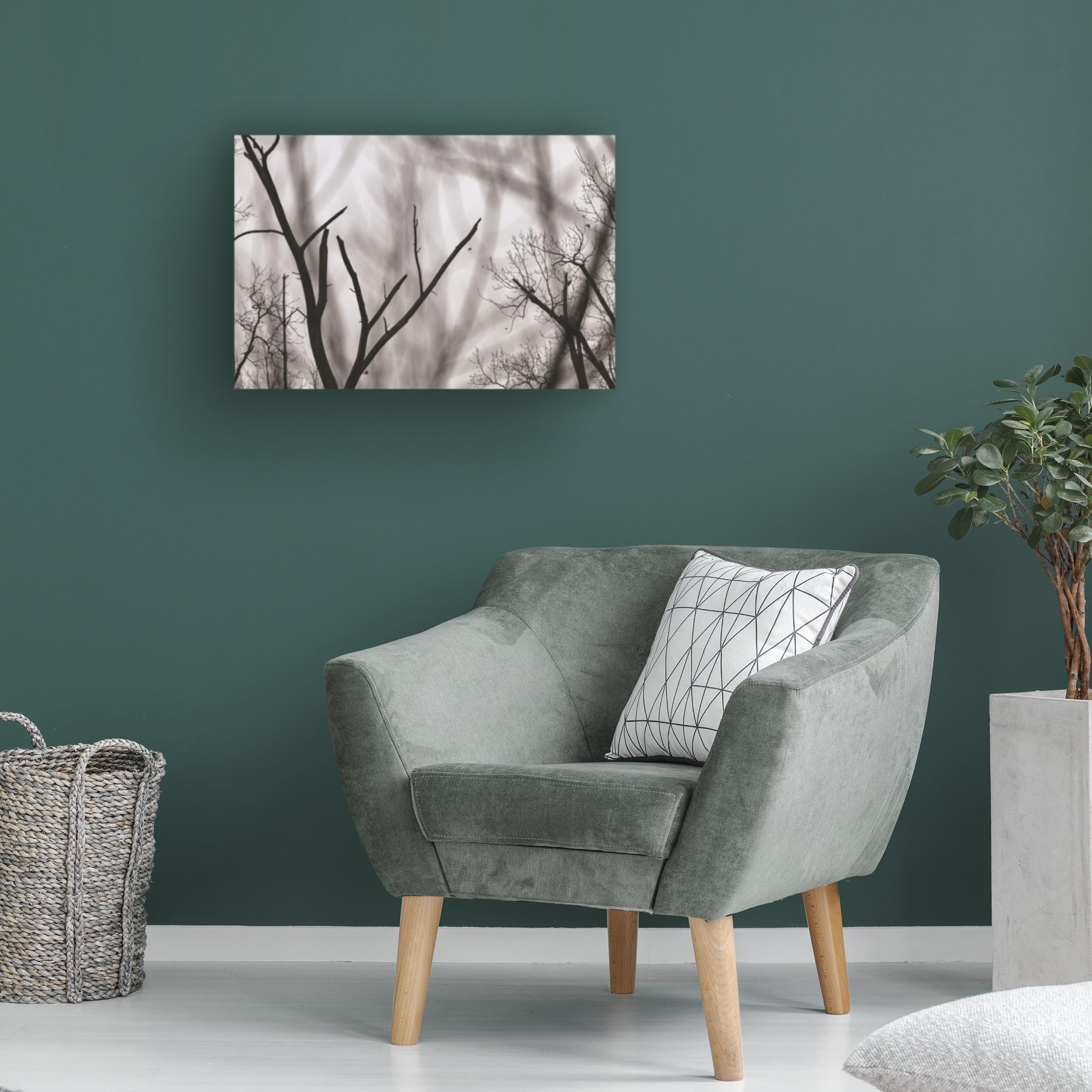 Kurt Shaffer 'Bare Tree Abstract' Photographic Canvas Wall Art - Modern Home & Office Decor for Living Room, Bedroom, or Gallery Display