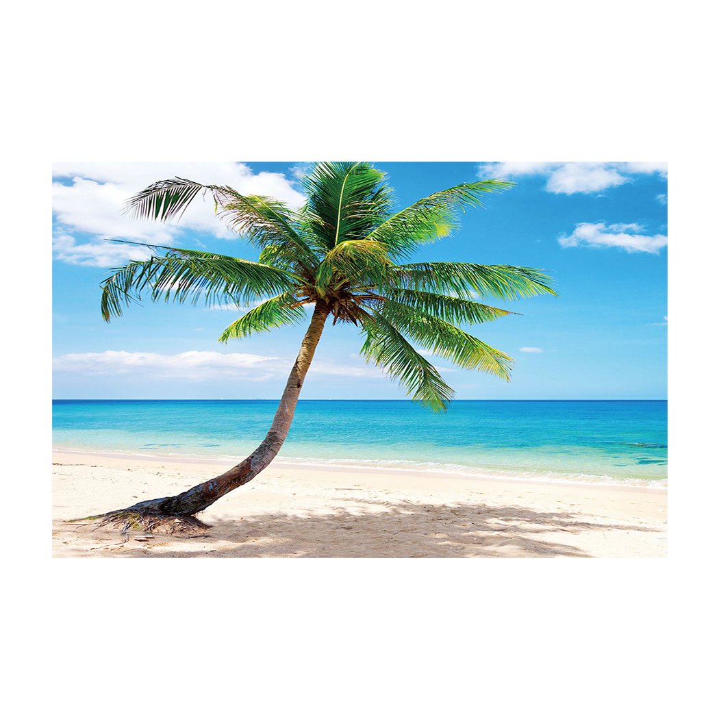 Libaoge Tropical Fish Tank Background - Coconut Palm Trees Sunset Aquarium Backdrop Sticker | PVC Adhesive Wallpaper Decor | 30