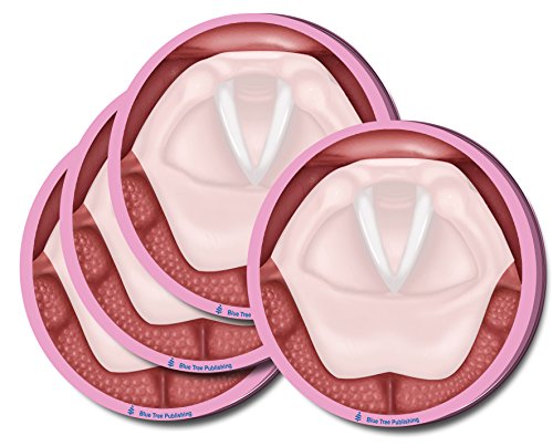 Vocal Folds 4 Pack