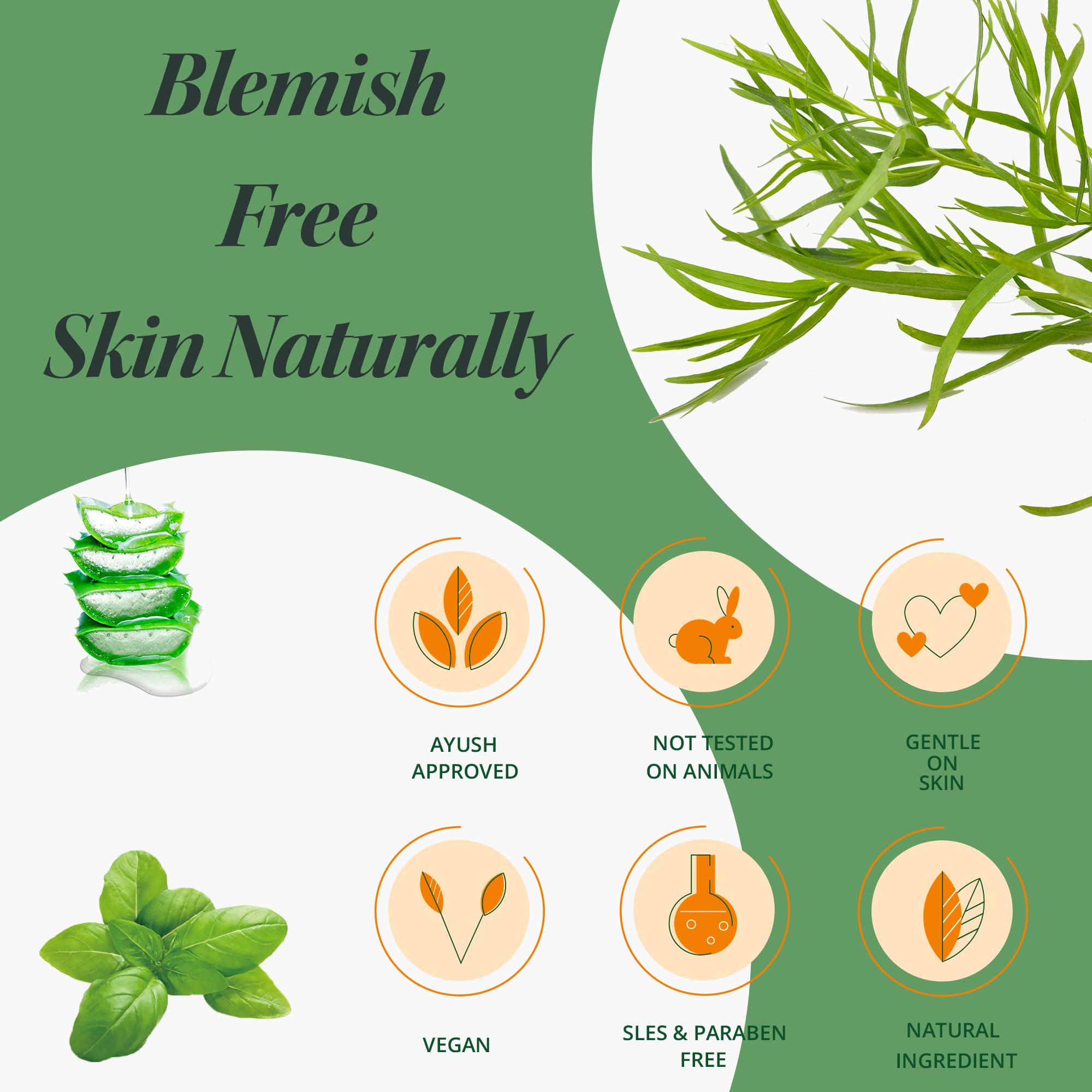 Terrai Tea Tree & Salicylic Acid Acne Face Wash - Oil Control, Blemish Treatment for Acne Prone Skin - Reduces Pimple Marks, Blackheads & Whiteheads - Gentle Cleanser for Men & Women (100ml) - Perfect for Daily Skincare Routine & Post-Workout Cleansing