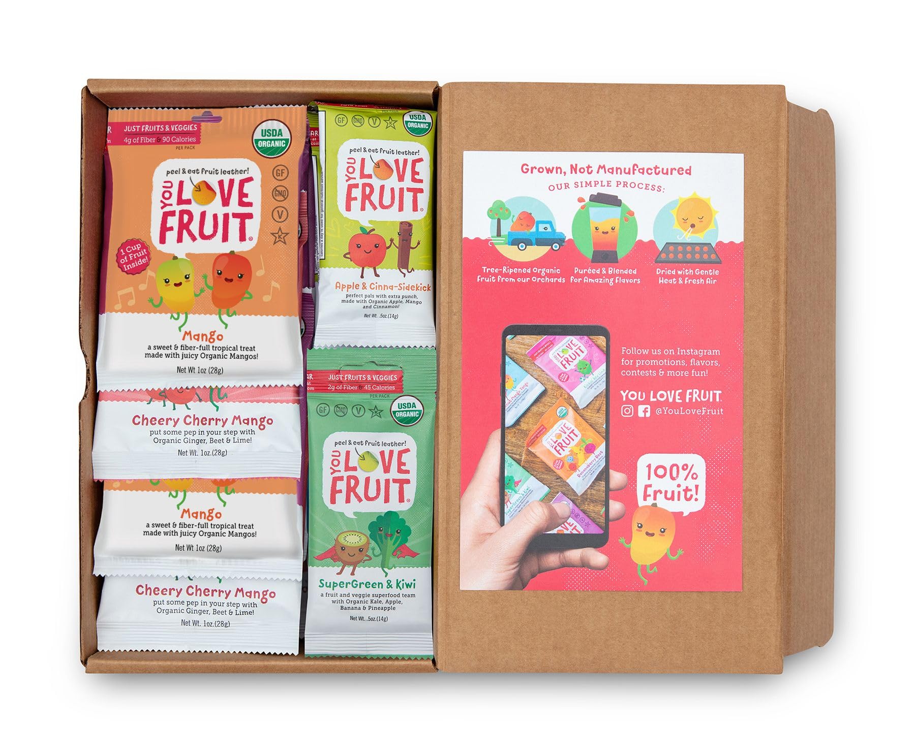 YOU LOVE FRUIT - 24 Pack Natural Fruit Snacks Gift Box | 100% Gluten-Free, Vegan, High Fiber, Low Fat Healthy Snacks for Kids, Students & Offices | Apple Cinnamon, Mango, Berry & More Flavors | Perfect for Lunchboxes, School Snacks & Office Breaks