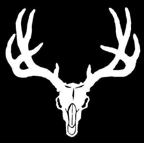 Premium White 5.5