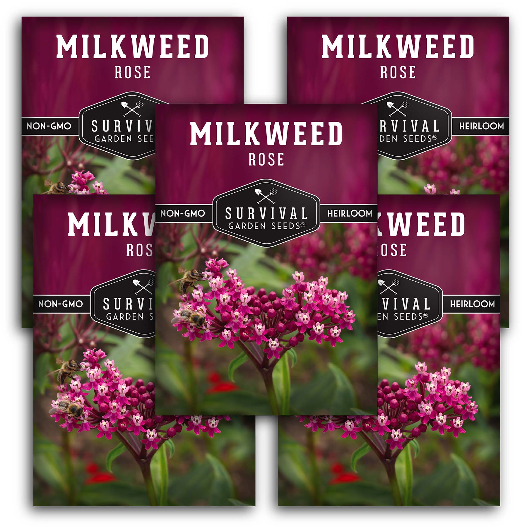 **Buy Rose Milkweed Seeds Online - Asclepias Incarnata for Butterfly Gardens & Pollinator-Friendly Landscaping**