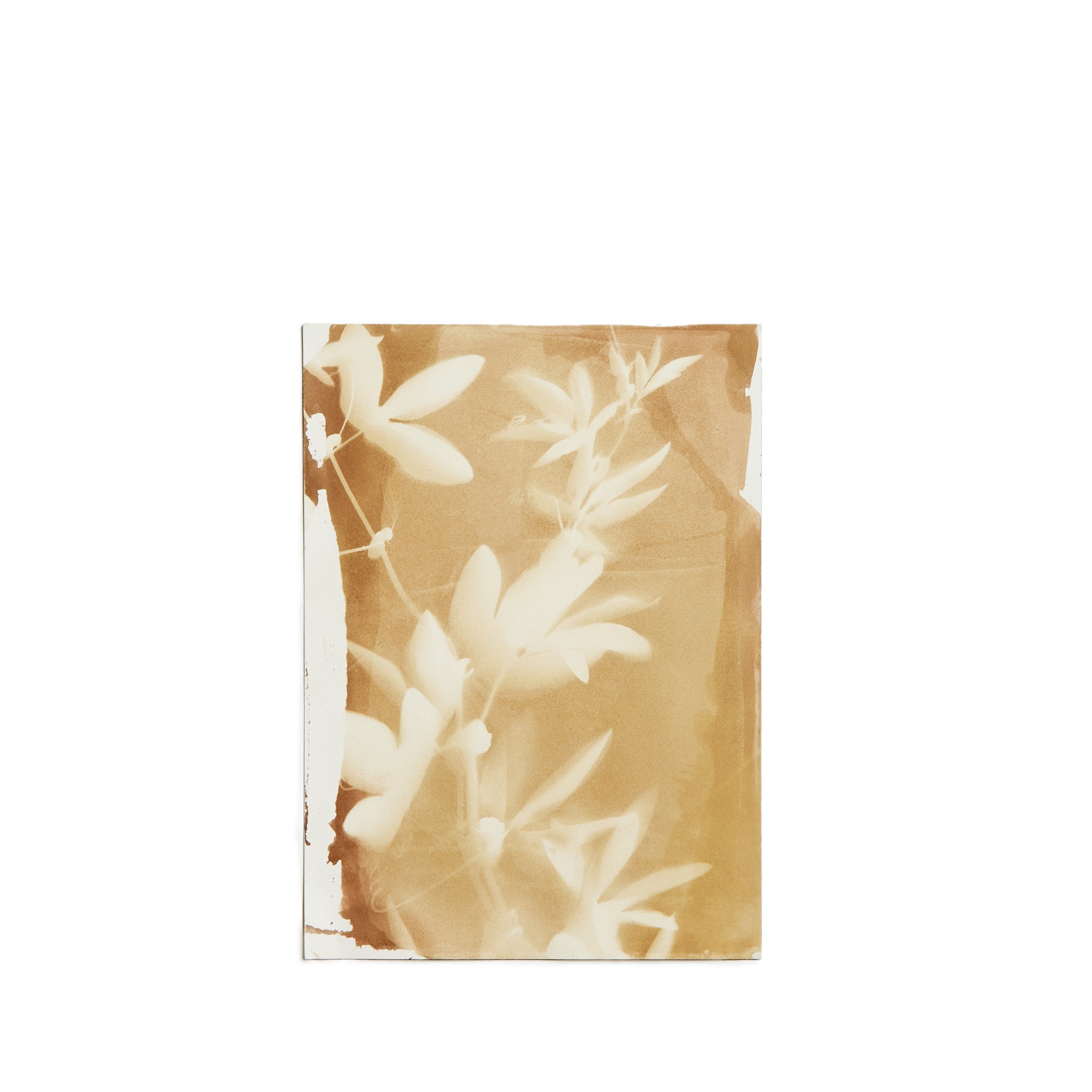 Maypop 7.25X10.25 Inch - Premium Quality for Home Decor, DIY Projects & Gift Wrapping | Perfect for Scrapbooking, Wall Art & Crafting