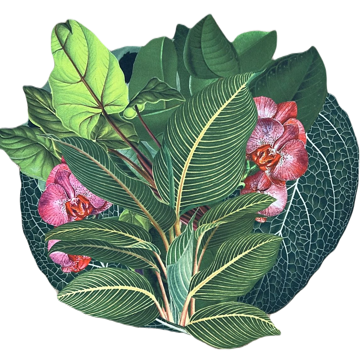 Botanic Placemats Set of 2 - Waterproof & Eco-Friendly Table Mats for Dining, Kitchen, and Outdoor Picnics - Perfect for Home Decor and Entertaining