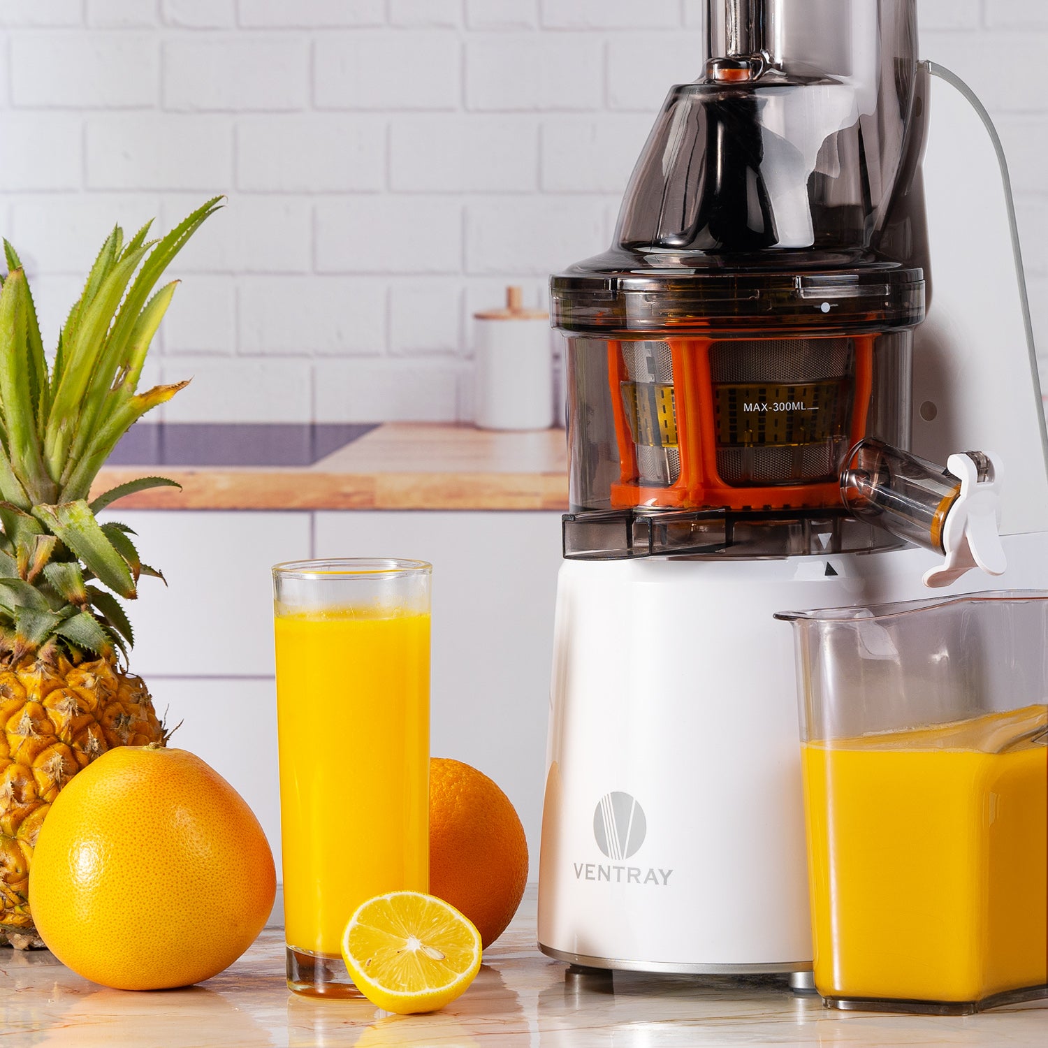 800W Slow Masticating Juicer - Cold Press Juicer for Fruits & Vegetables - Quiet & Efficient for Home, Gym, or Office Use
