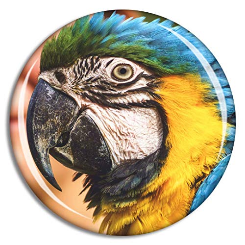 Parrot