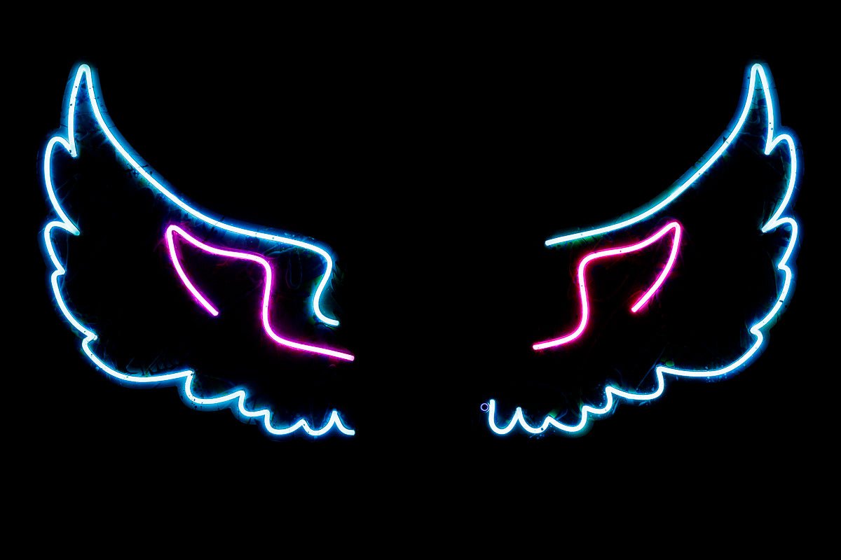 Afterlife Skull with Wings - Original Gothic Home Decor for Halloween & Dark Aesthetic Room Design