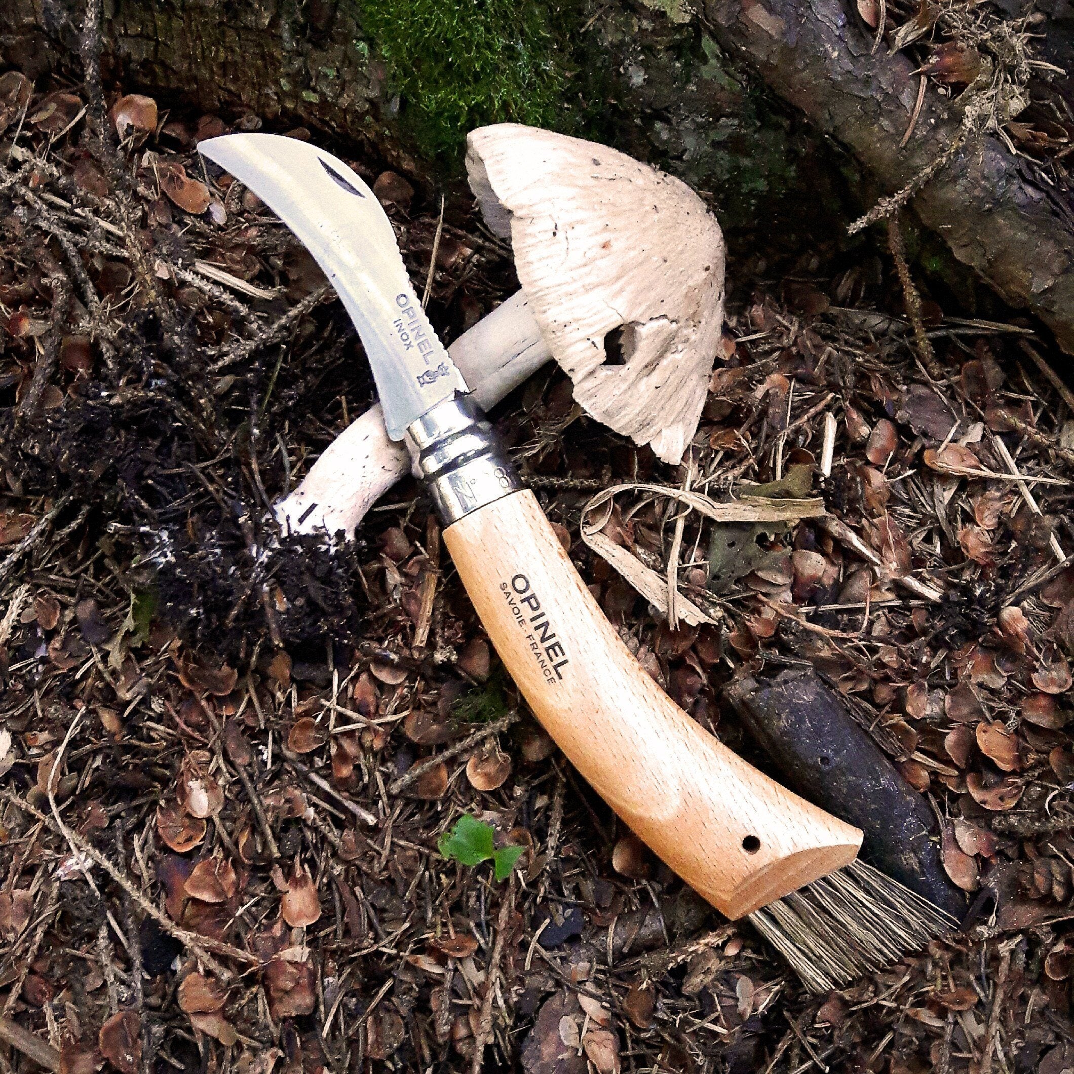 Opinel No.08 Stainless Steel Folding Knife - Mushroom Hunter's Pocket Knife with Cleaning Brush | Perfect for Foraging, Camping & Outdoor Adventures