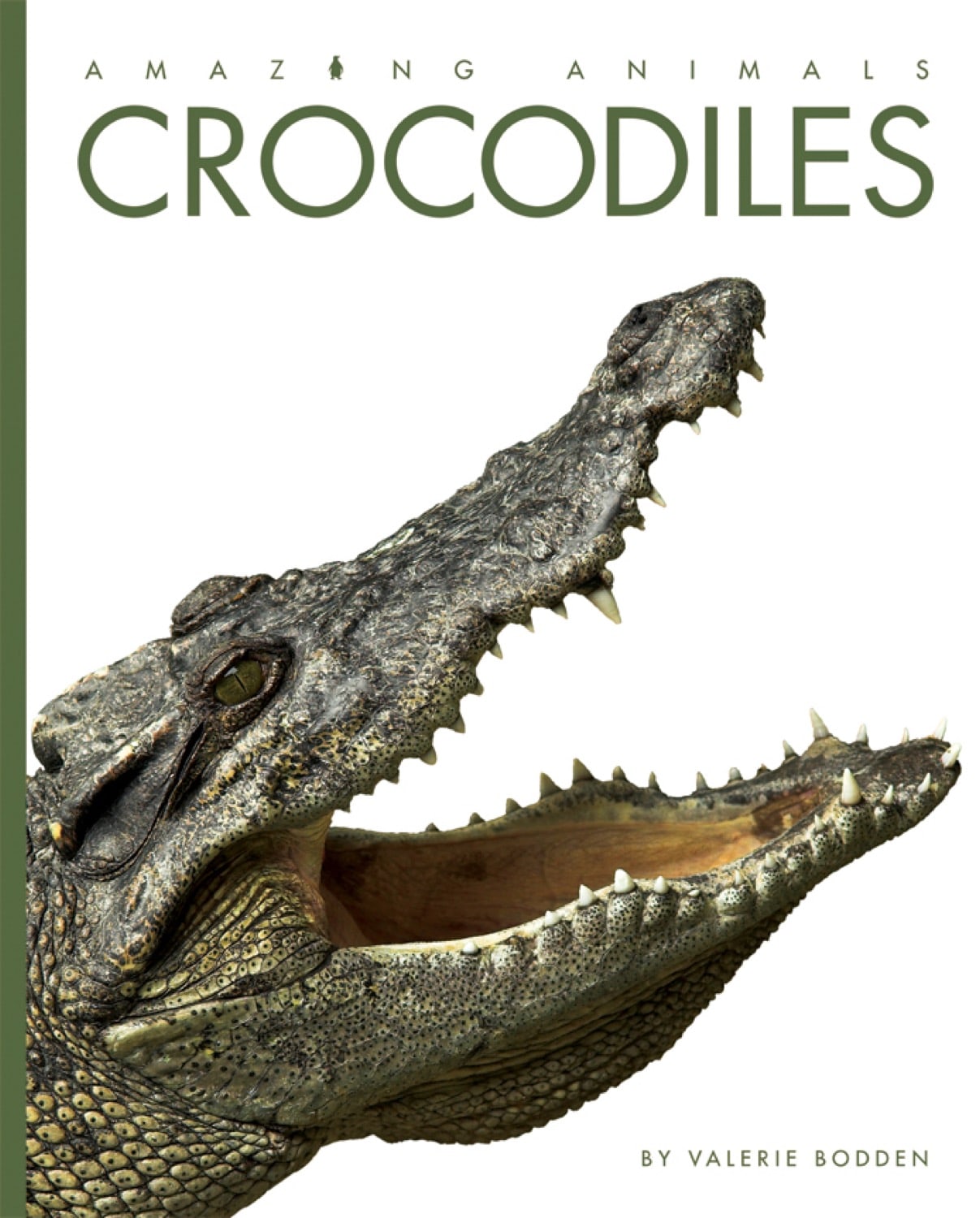 Amazing Animals (2014): Crocodiles - Wildlife Documentary DVD | Educational Nature Films for Kids & Adults | Perfect for Classroom Learning & Home Entertainment