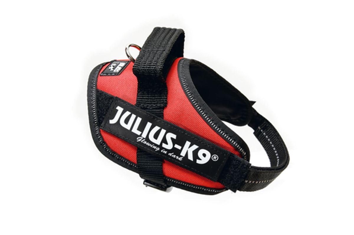 IDC Power Harness - Mini Size (S) - Red - Perfect for DIY Electronics, Robotics & Automotive Wiring Projects