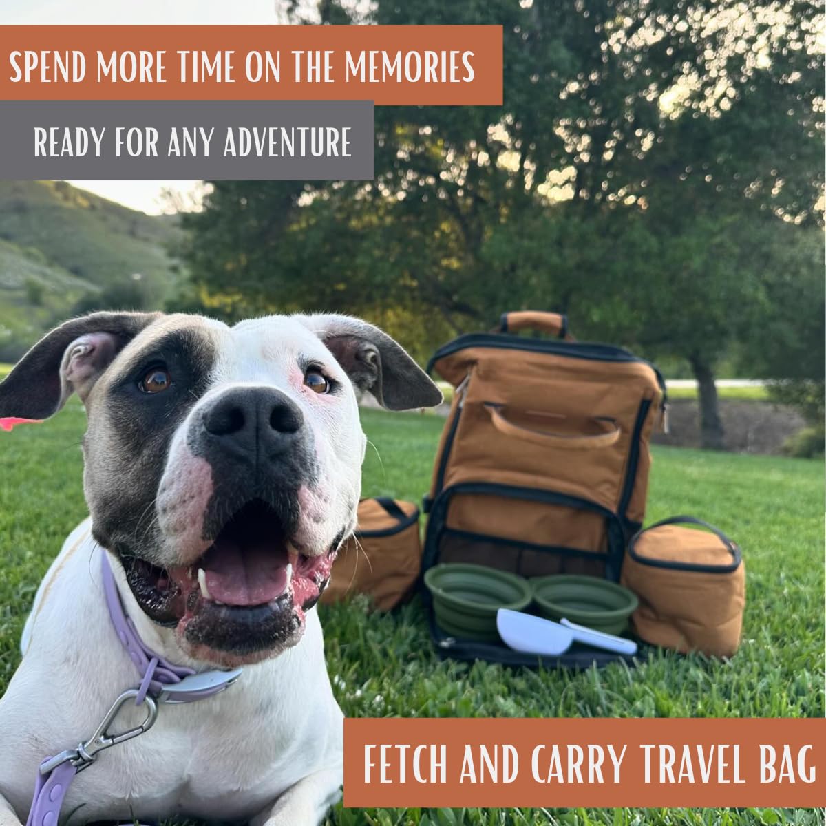 Tito's Closet Premium Pet Travel Bag Set - 2 Pack Collapsible Dog Bowls, 2 Food Storage Containers & Treat Pouch for Dogs (Brown) | Perfect for Road Trips, Hiking & Air Travel | Model DB2024