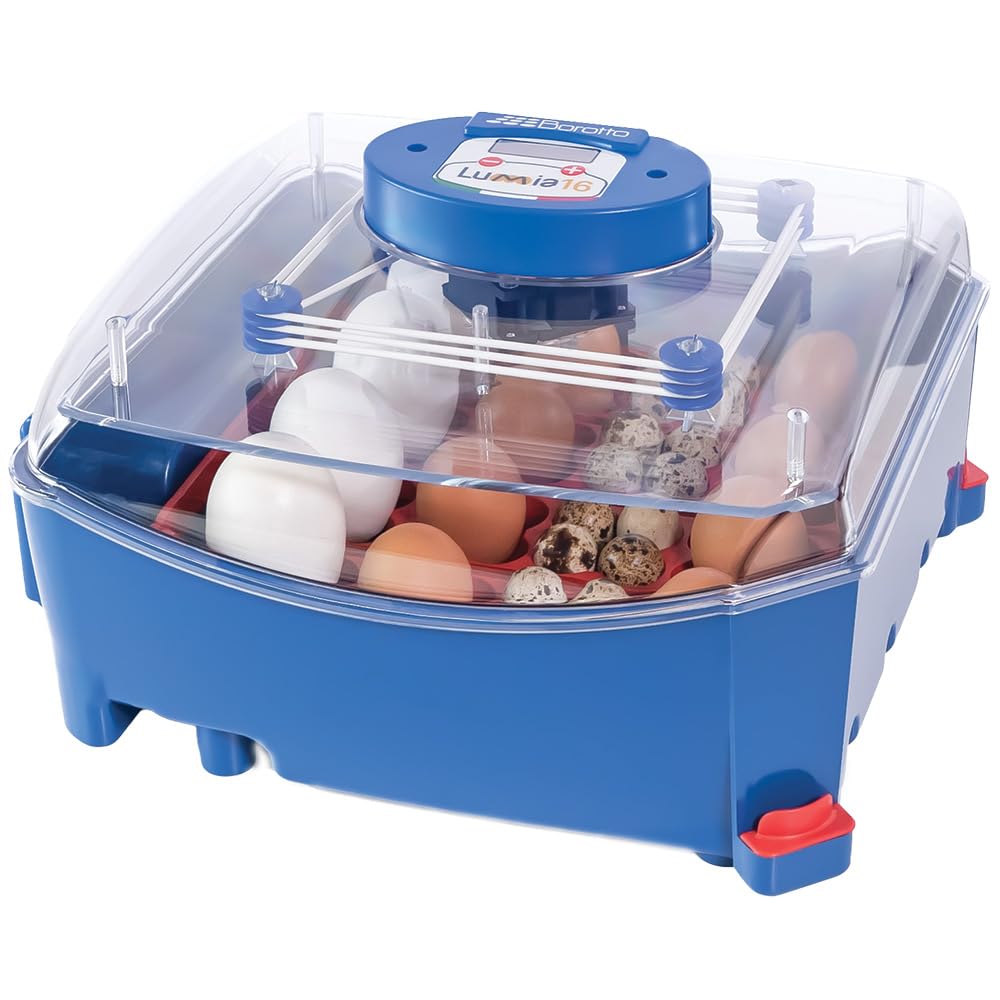 Premier 1 Supplies Borotto Lumia 16 Automatic Egg Incubator - Digital Poultry Hatcher with Temperature Control for Chicken, Duck & Quail Eggs - Perfect for Backyard Farming & Hobbyists