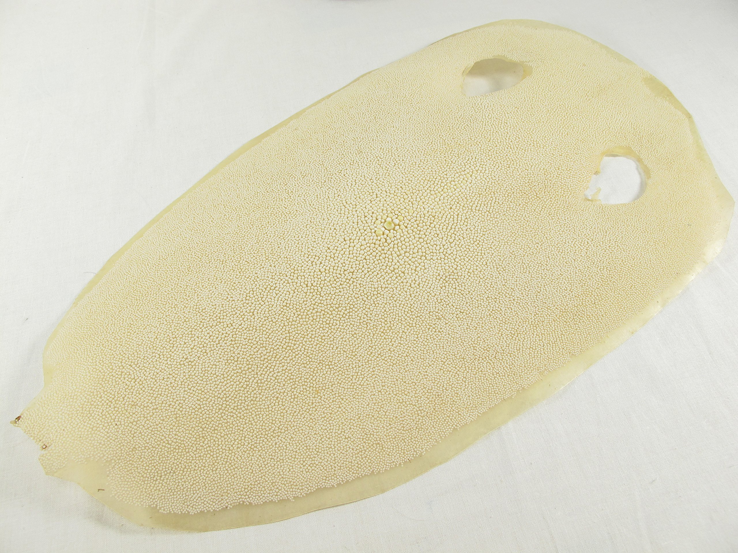 Authentic Dried Stingray Skin for Japanese Katana Sword Handle Wrap & Home Decor - 14