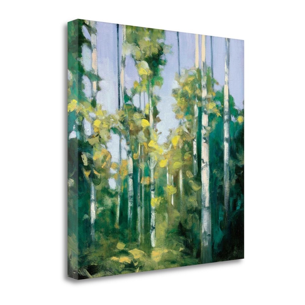 Birches By Julia Purinton - Premium Giclee Art Print on Gallery Wrapped Canvas - Ready to Hang Wall Decor for Living Room, Bedroom & Office