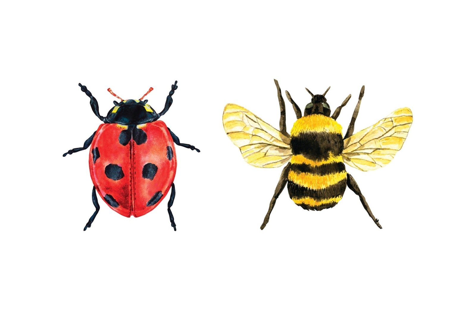 Bumble Bee Decal Stickers - Waterproof Vinyl Decals for Cars, Laptops, Windows - DIY Home Decor & Outdoor Use - Perfect for Kids Rooms, Nursery, School Supplies, and Party Decorations