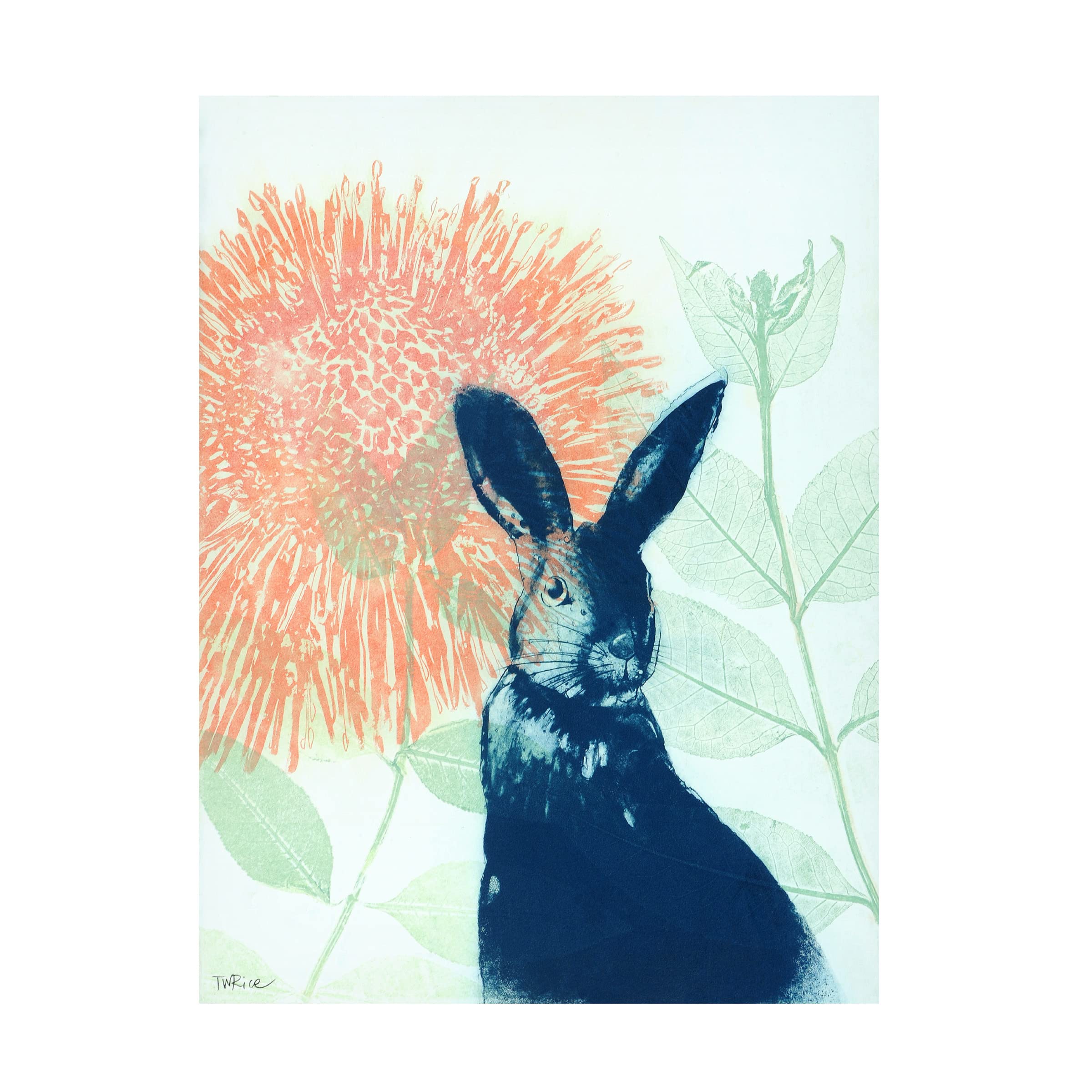 Trademark Fine Art 'Pink Waratah and Blue Rabbit' Canvas Wall Art by Trudy Rice - Floral and Animal Painting for Living Room, Bedroom, and Office Decor