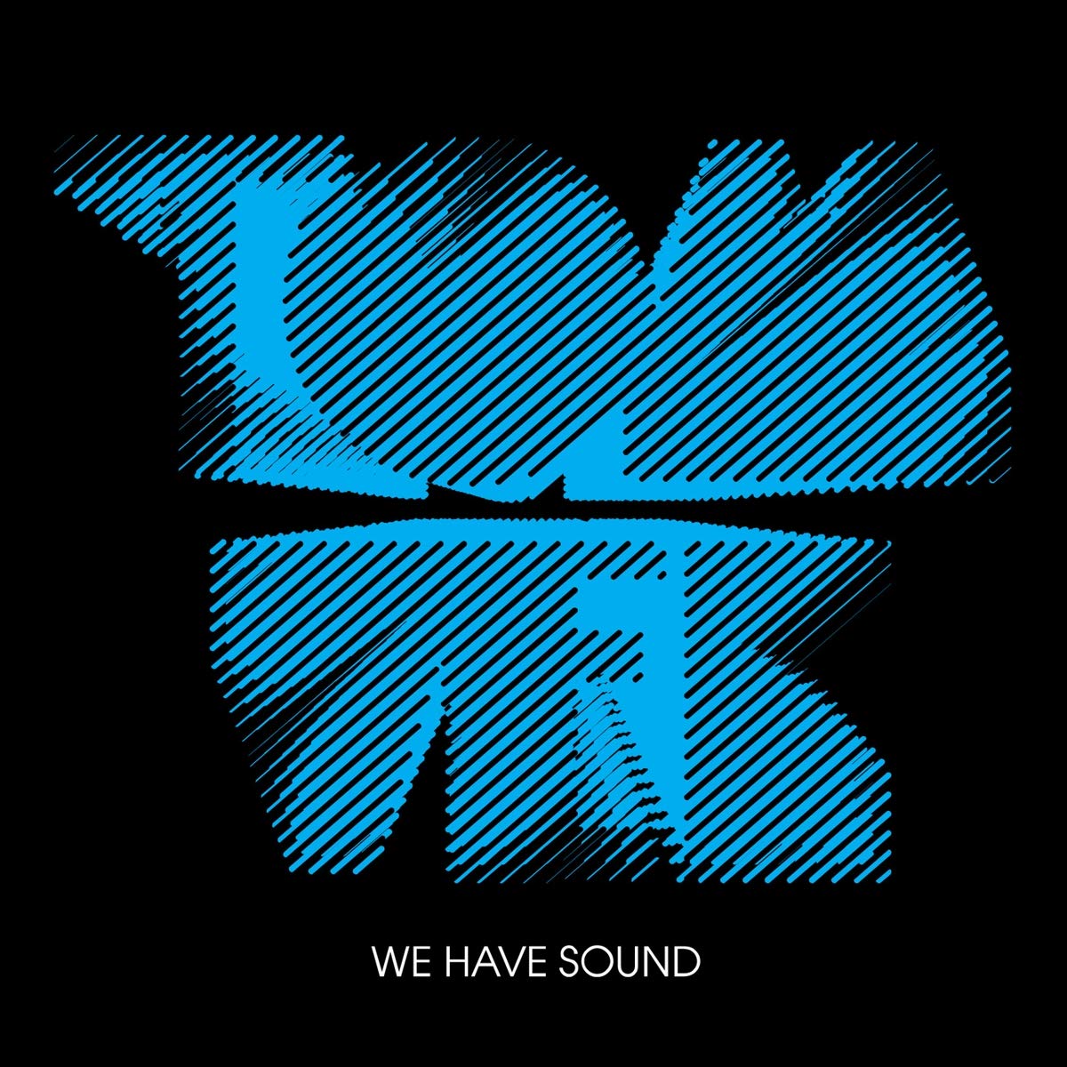 We Have Sound 10 Year Anniversary Special Edition - Limited Vinyl Record & Digital Album - Perfect for Music Collectors & Audiophiles - Great for Home Listening, DJ Sets & Gift Giving